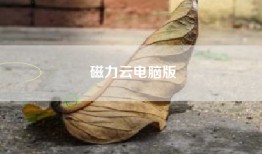 磁力云电脑版