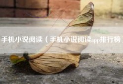 手机小说阅读（手机小说阅读app排行榜）