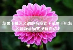 苹果手机怎么调静音模式（苹果手机怎么调静音模式没有震动）