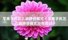 苹果手机怎么调静音模式（苹果手机怎么调静音模式没有震动）