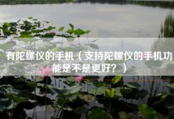有陀螺仪的手机（支持陀螺仪的手机功能是不是更好？）
