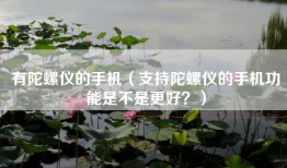 有陀螺仪的手机（支持陀螺仪的手机功能是不是更好？）
