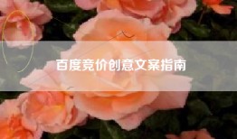 百度竞价创意文案指南