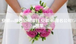 安徽seo排名公司排行 安徽SEO排名公司Top榜单