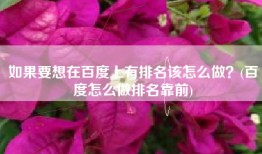 如果要想在百度上有排名该怎么做？(百度怎么做排名靠前)