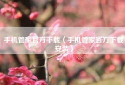 手机管家官方下载（手机管家官方下载安装）