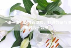 “碰一碰”支付新体验、打通数据与决策最后一公里