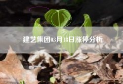 建艺集团03月18日涨停分析