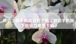 微信下载手机版官方下载(微信手机版下载官方免费下载)