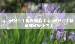 oppo最好的手机是哪款（oppo最好的手机是哪款多少钱）