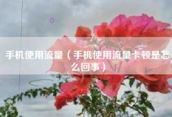 手机使用流量（手机使用流量卡顿是怎么回事）