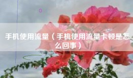 手机使用流量（手机使用流量卡顿是怎么回事）