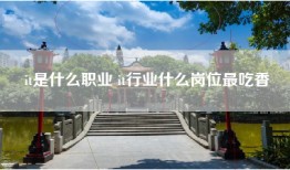 it是什么职业 it行业什么岗位最吃香