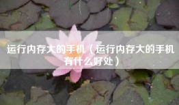 运行内存大的手机（运行内存大的手机有什么好处）