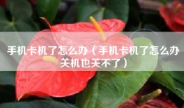 手机卡机了怎么办（手机卡机了怎么办关机也关不了）
