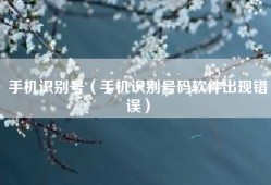 手机识别号（手机识别号码软件出现错误）
