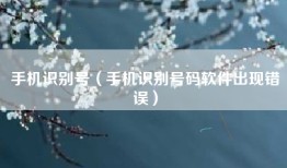 手机识别号（手机识别号码软件出现错误）