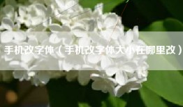 手机改字体（手机改字体大小在哪里改）