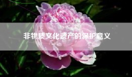非物质文化遗产的保护意义
