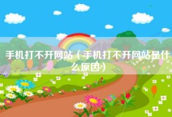 手机打不开网站（手机打不开网站是什么原因）