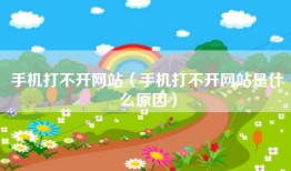 手机打不开网站（手机打不开网站是什么原因）