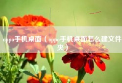 oppo手机桌面（oppo手机桌面怎么建文件夹）