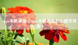 oppo手机桌面(oppo手机桌面怎么建文件夹)
