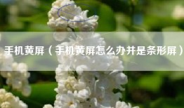手机黄屏（手机黄屏怎么办并是条形屏）