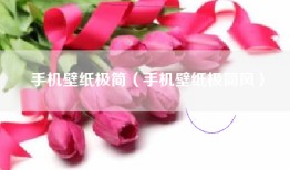 手机壁纸极简（手机壁纸极简风）
