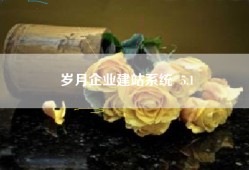 岁月企业建站系统  5.1