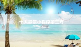 十大微信小程序第三方
