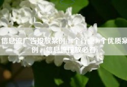 信息流广告投放案例(18个行业30个优质案例，信息流投放必看)