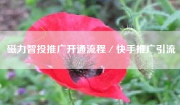 磁力智投推广开通流程／快手推广引流