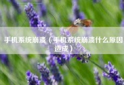 手机系统崩溃（手机系统崩溃什么原因造成）