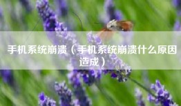 手机系统崩溃（手机系统崩溃什么原因造成）