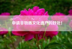 申请非物质文化遗产的好处！