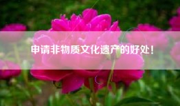 申请非物质文化遗产的好处！