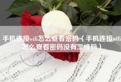 手机连接wifi怎么查看密码（手机连接wifi怎么查看密码没有二维码）
