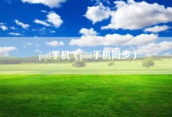 pad手机（pad手机同步）