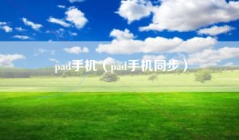 pad手机（pad手机同步）