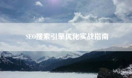 SEO搜索引擎优化实战指南