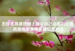 怎样在高德地图上显示自己店面的位置 高德地图新增店铺位置方法