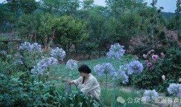 从李子柒到邓超予，她们用实际行动守护非遗之美