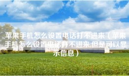 苹果手机怎么设置电话打不进来（苹果手机怎么设置电话打不进来,但是可以显示信息）