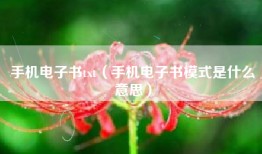 手机电子书txt（手机电子书模式是什么意思）