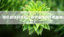 降价最快的手机（降价最快的手机是哪款）