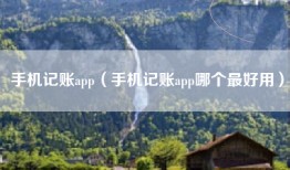 手机记账app（手机记账app哪个最好用）