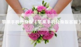 苹果手机分身版（苹果手机分身版客服）