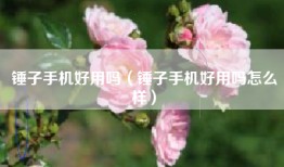 锤子手机好用吗（锤子手机好用吗怎么样）