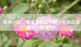 耗资230亿，雷军为什么不把小米新总部建在一线城市？